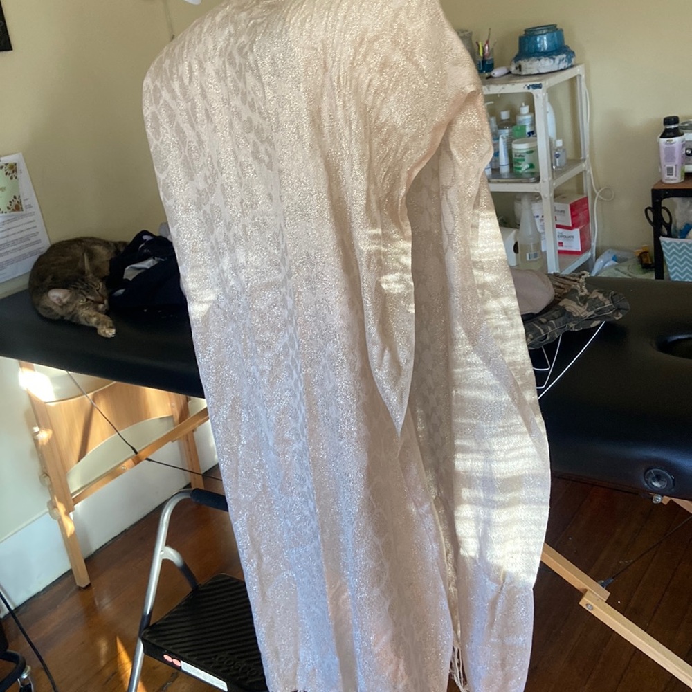 Cream and gold pashmina